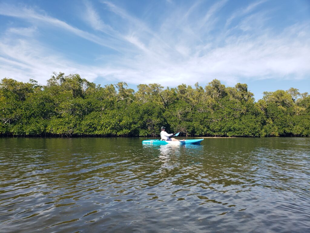 kayak on the river