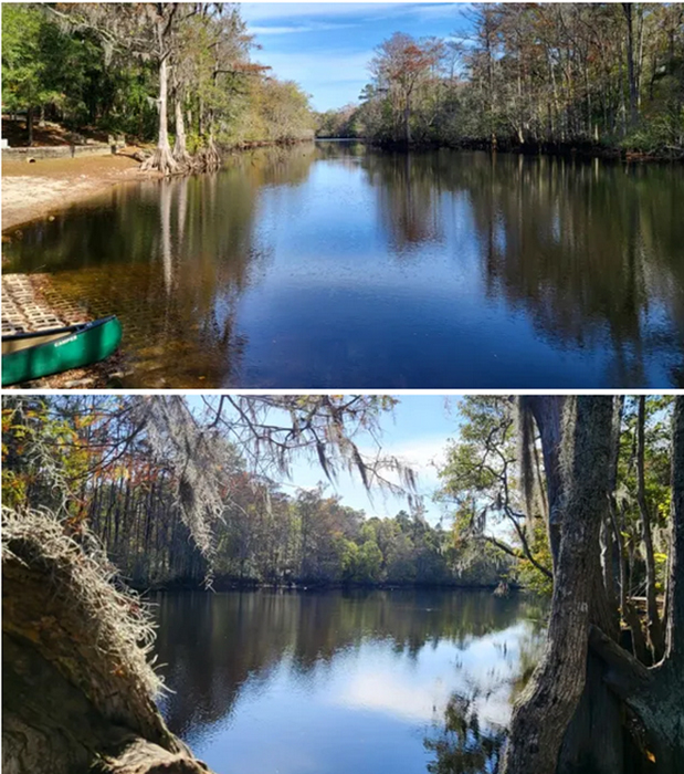 a view of the lumber river