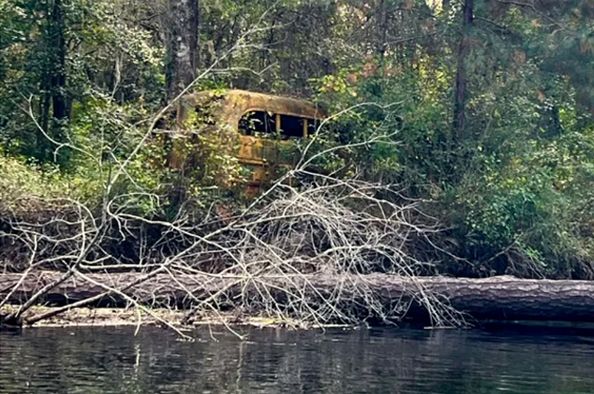 a school bus in the woods