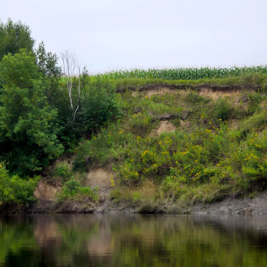 The land on top of the bluffs
